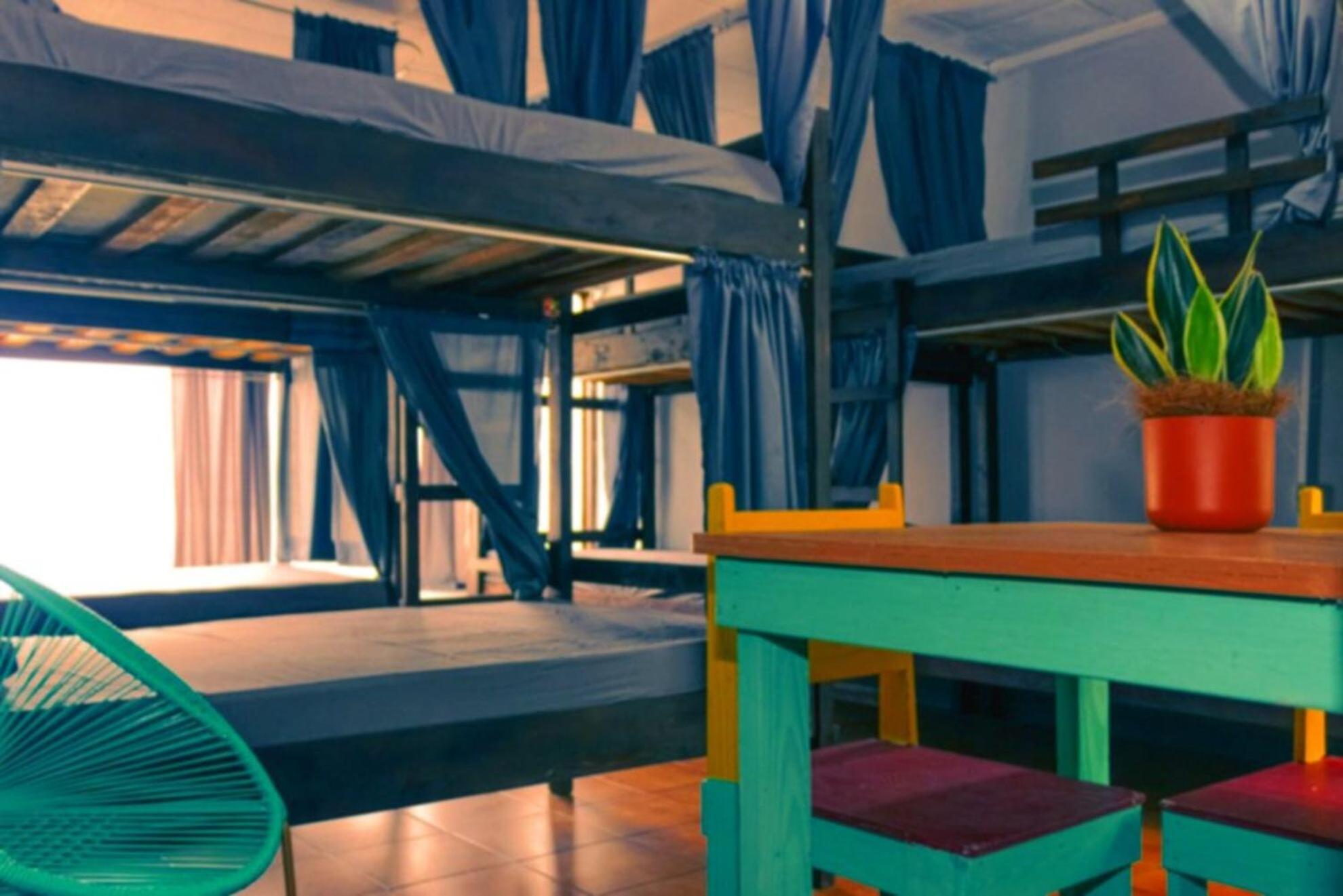 Chillout Hostel Barrio Escalante San Jose  Ngoại thất bức ảnh
